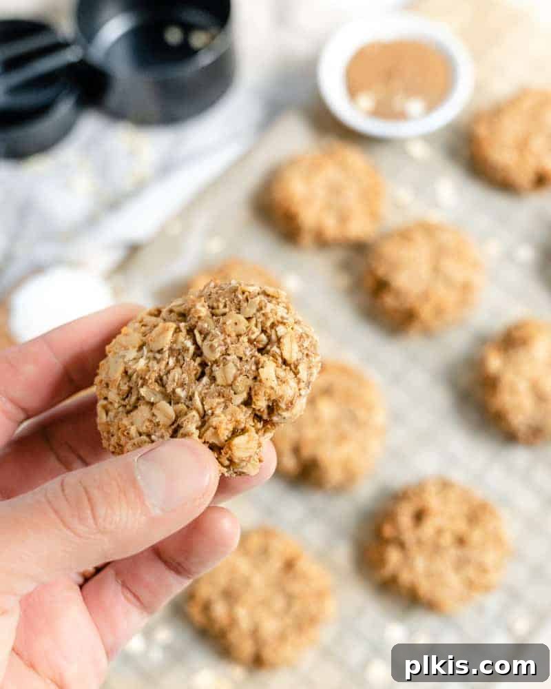 24 Festive Vegan Christmas Cookie Delights 22 Close up of Coconut Oatmeal Cookie with several cookies on a gray baking tray with ingredients in the background.