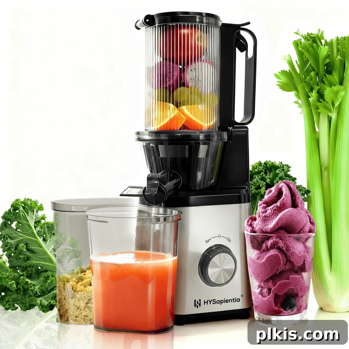 Holiday Gifting Unwrapped Your Essential Picks 6 HYSapientia Cold Pressed Juicer with various fresh vegetables in the background, highlighting its use for healthy juicing.