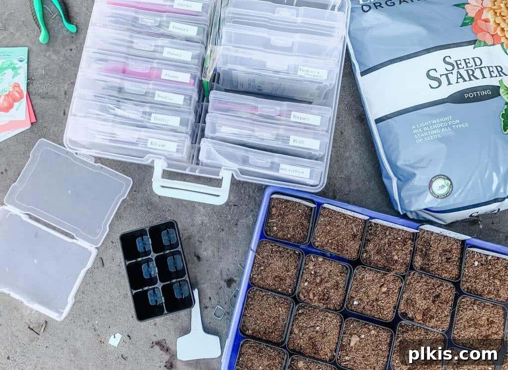 Cultivate Success: 5 Premier Online Seed Retailers 2 Organized seed packets stored neatly in a clear plastic case, alongside a tray of small starter pots.