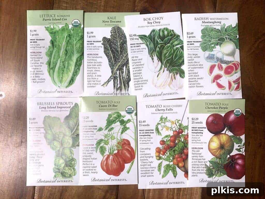 5 Best Places To Buy Seeds Online A vibrant collage showcasing various seed packets and garden tools, with the title '5 Best Places To Buy Seeds Online'.