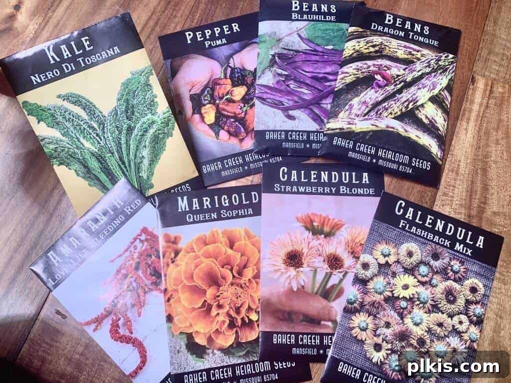 5 Best Places to Buy Seeds Online A collection of colorful seed packets from Baker Creek Heirloom Seeds, featuring unique and rare varieties like purple beans and multi-colored peppers.
