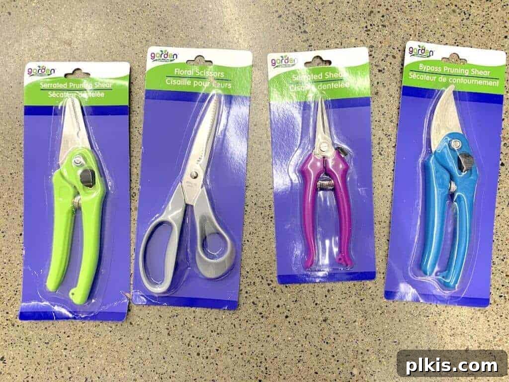 Sprouting Savings: Dollar Tree Garden Essentials 11 Four different types of garden shears in packaging at Dollar Tree.