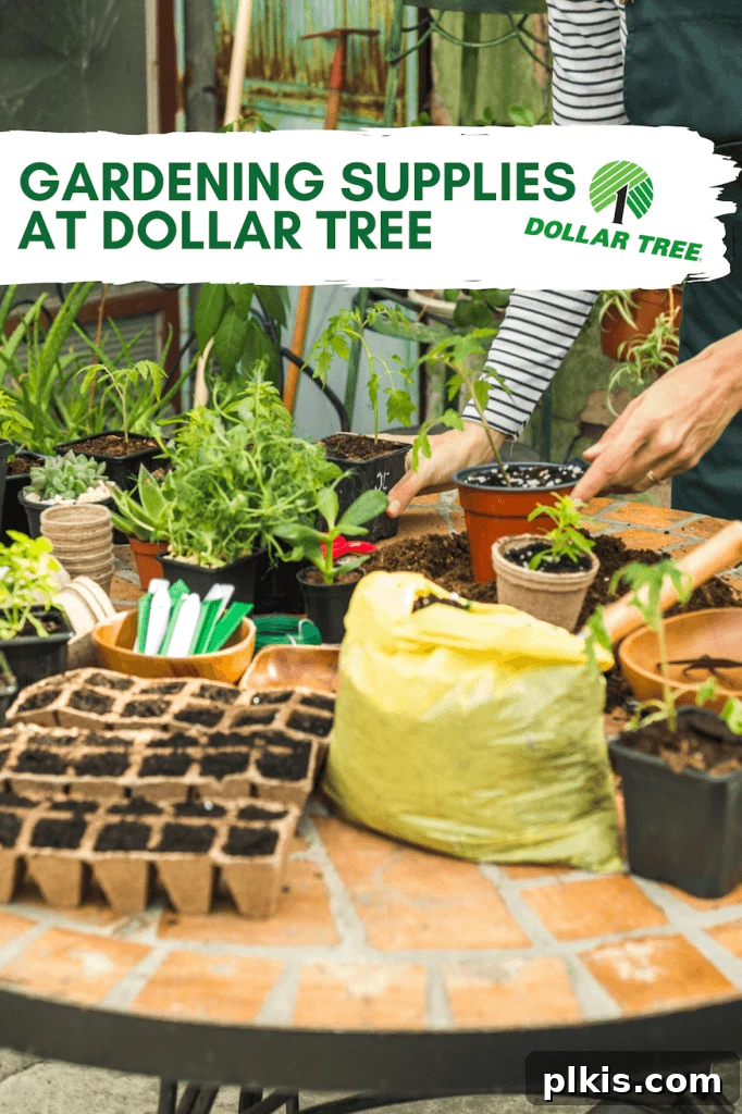 Gardening Supplies at Dollar Tree An array of Dollar Tree gardening supplies, including pots, seeds, and tools, ready to start a garden.