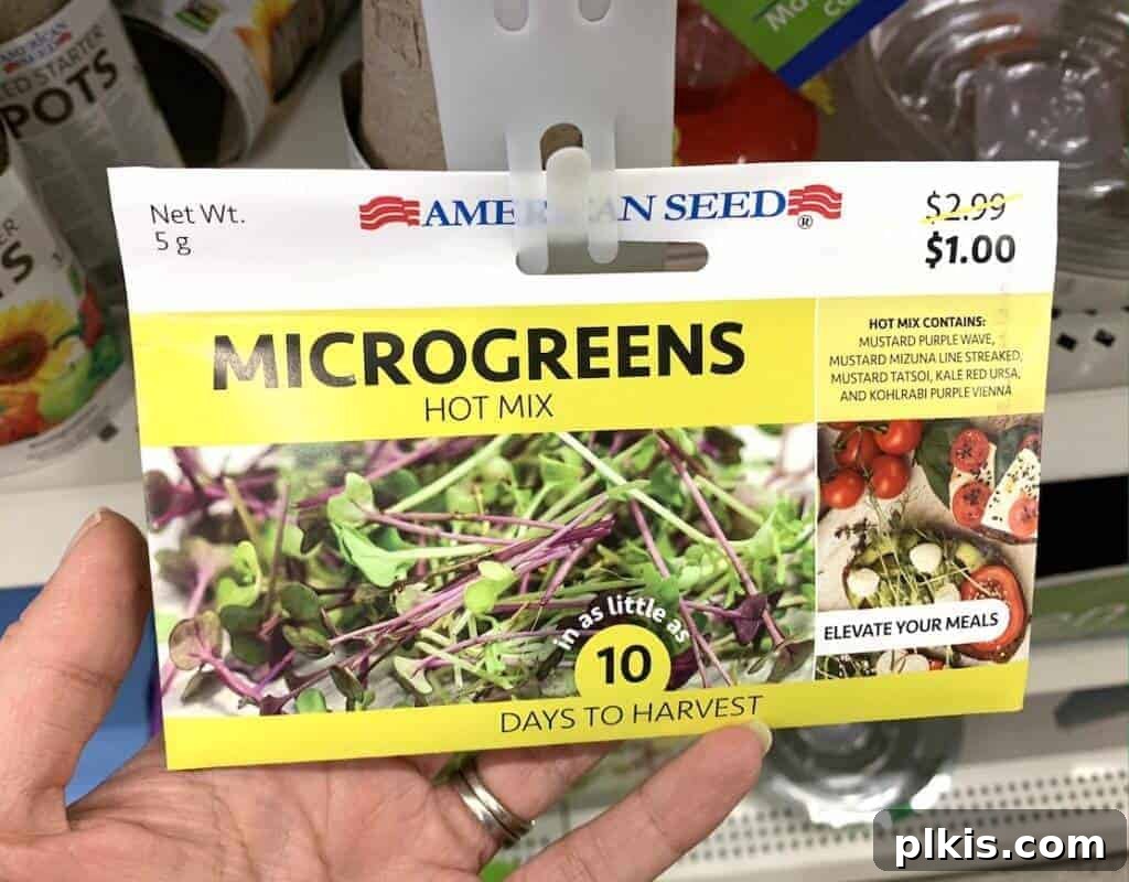 Sprouting Savings: Dollar Tree Garden Essentials 3 Close-up of a Dollar Tree microgreens spicy mix seed packet, ideal for quick indoor gardening.