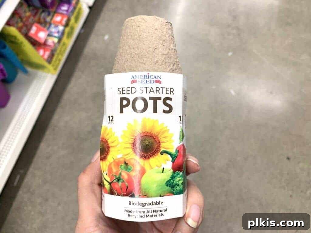 Sprouting Savings: Dollar Tree Garden Essentials 4 Hand holding a packet of biodegradable seed starter pots from Dollar Tree.