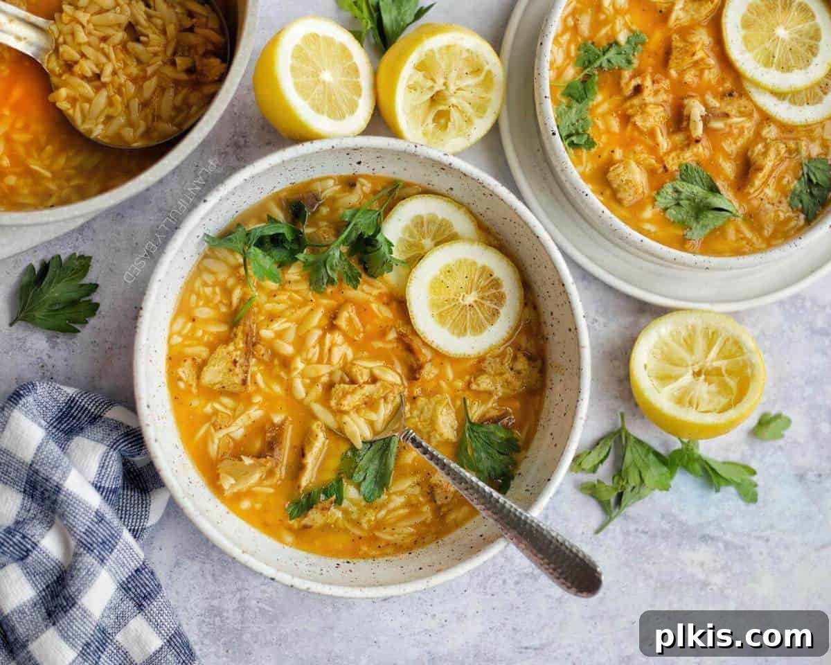 23 Soul-Soothing Vegan Soup Recipes 15 Lemon Chick'n Orzo Soup
