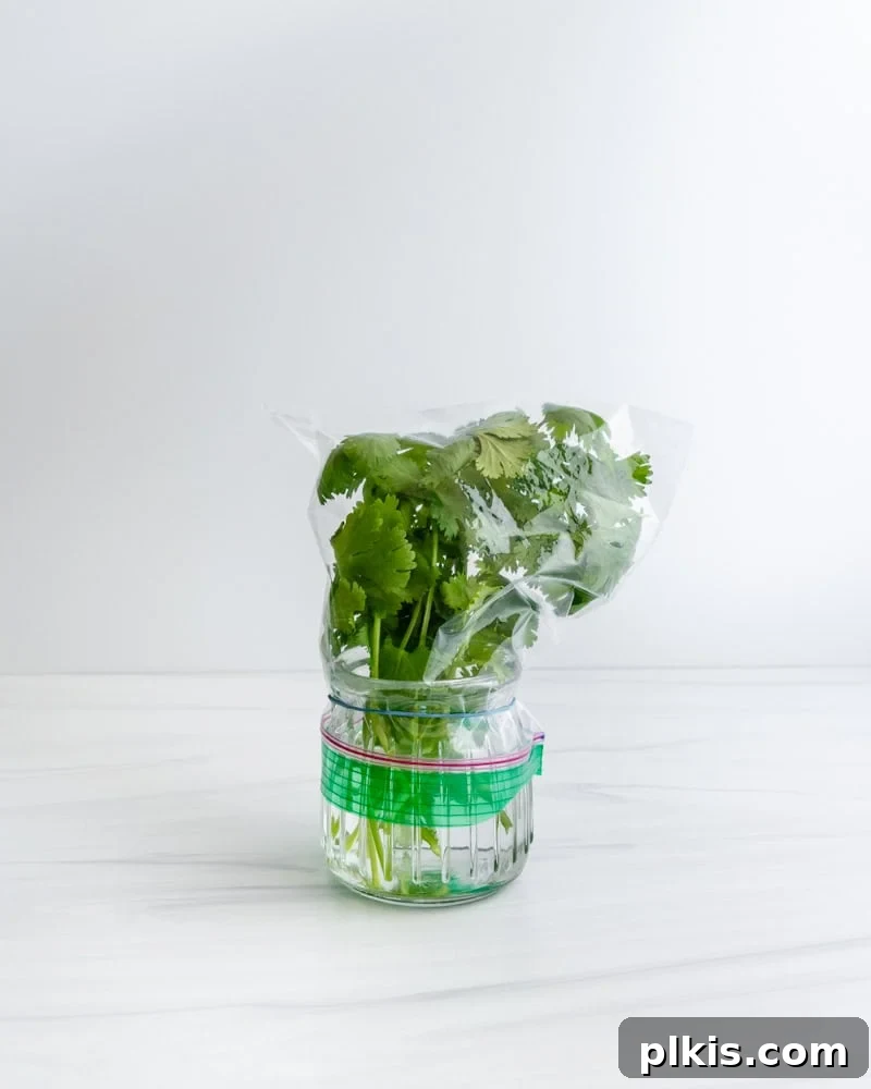 Keep Your Fresh Herbs Vibrant for Weeks 2 herbs in a container
