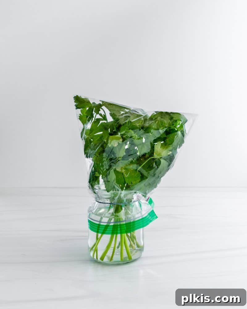 Keep Your Fresh Herbs Vibrant for Weeks 3 herbs in a container