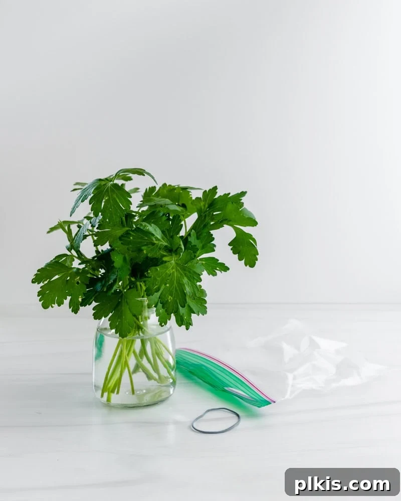 Keep Your Fresh Herbs Vibrant for Weeks 4 herbs in a container