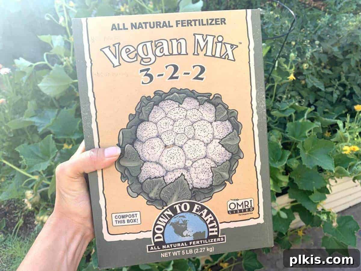 Down To Earth Vegan Fertilizer one box of vegan fertilizer mix with a green leafy background