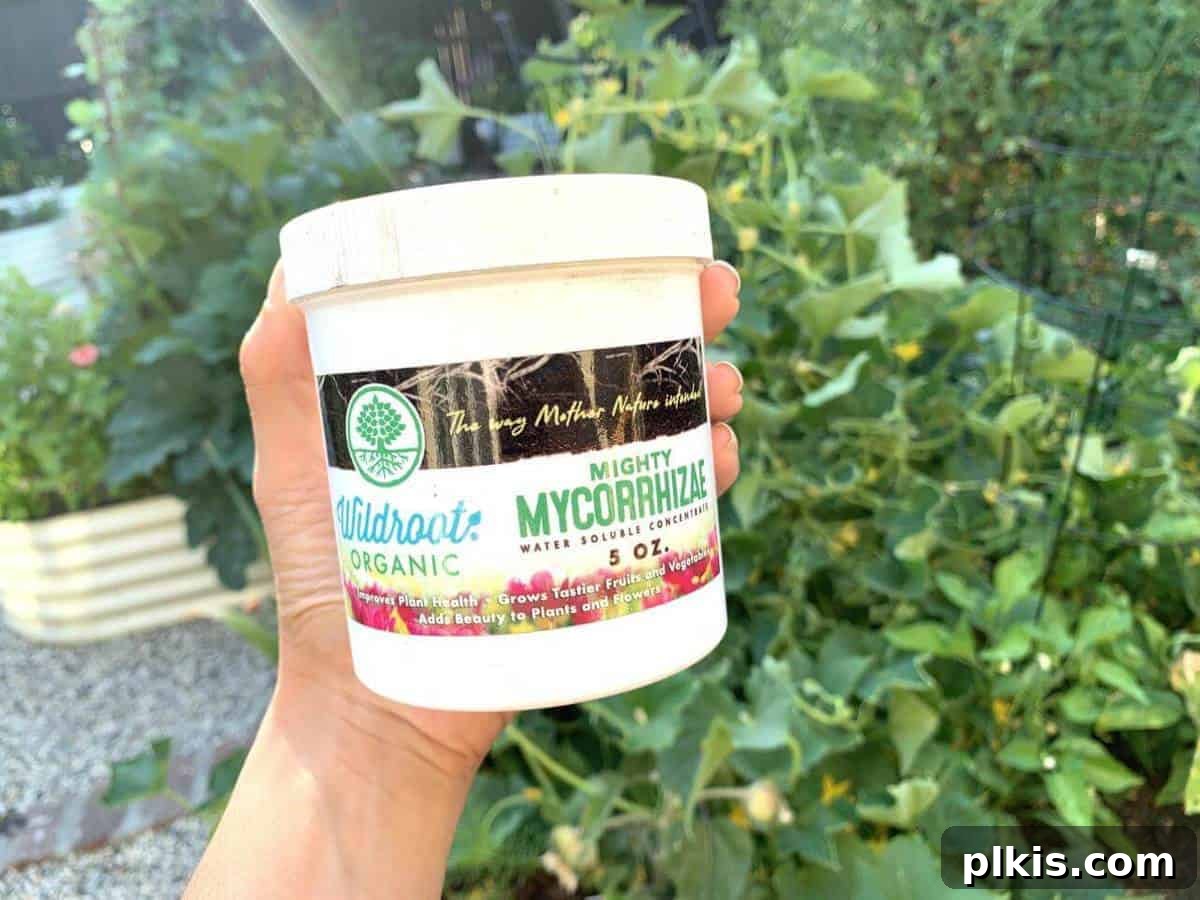 Wildroot Vegan Fertilizer one white tub of vegan fertilizer in a green leafy background