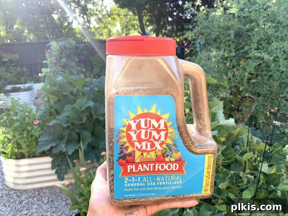 Yum Yum Vegan Fertilizer one clear tub of vegan fertilizer in a green leafy background