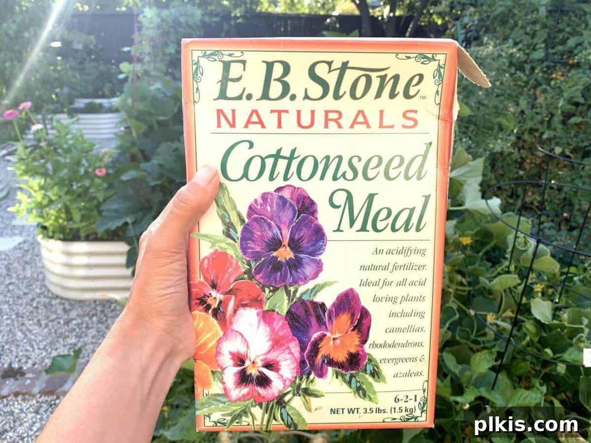 E.B. Stone Vegan Fertilizer one box of vegan fertilizer with a green leafy background