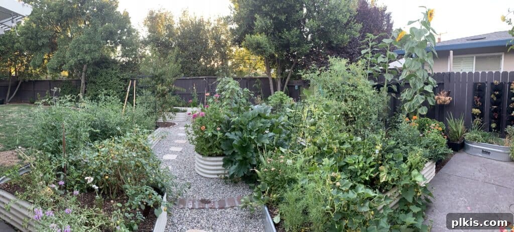 multiple garden beds with various growth and pathway stones shown