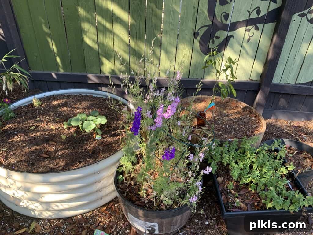 Close-up view of a Vego Garden raised bed featuring lush herbs and young vegetable plants, highlighting healthy soil and meticulous planting.