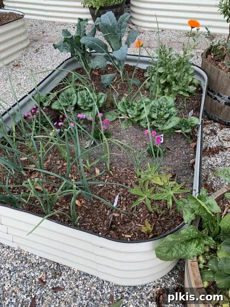 An intricate view of companion planting within a Vego Garden raised bed, with various compatible plants growing harmoniously together, promoting biodiversity.