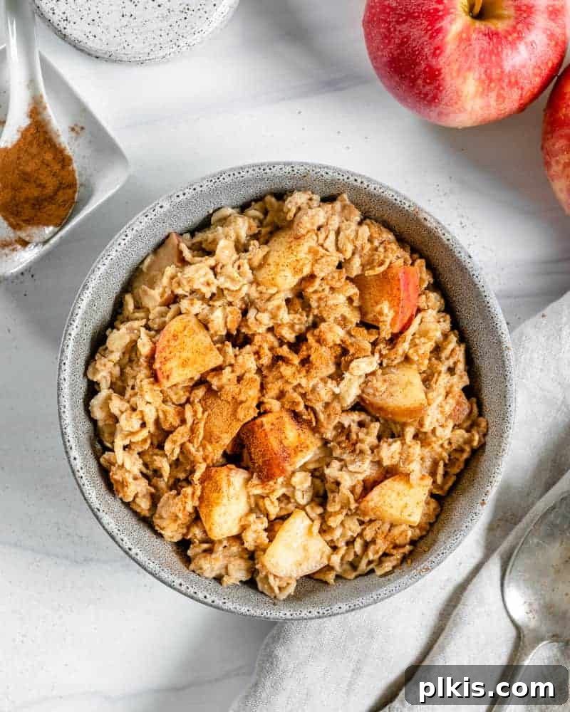 48 Irresistible Vegan Apple Delights 7 Finished apple cinnamon oatmeal in a bowl with ingredients in a white background.