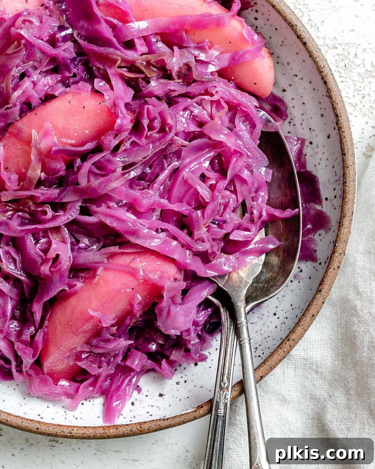 48 Irresistible Vegan Apple Delights 23 completed German Red Cabbage (Rotkohl) in a bowl