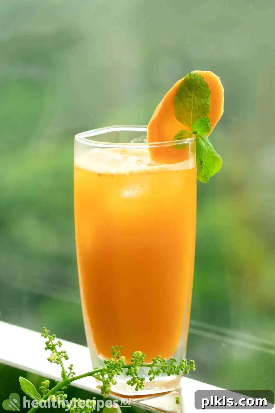 48 Irresistible Vegan Apple Delights 50 Completed Carrot Apple Ginger Juice in a glass.