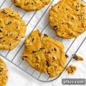 A smaller image of completed Vegan Pumpkin Chocolate Chip Cookies cooling on a wire rack.