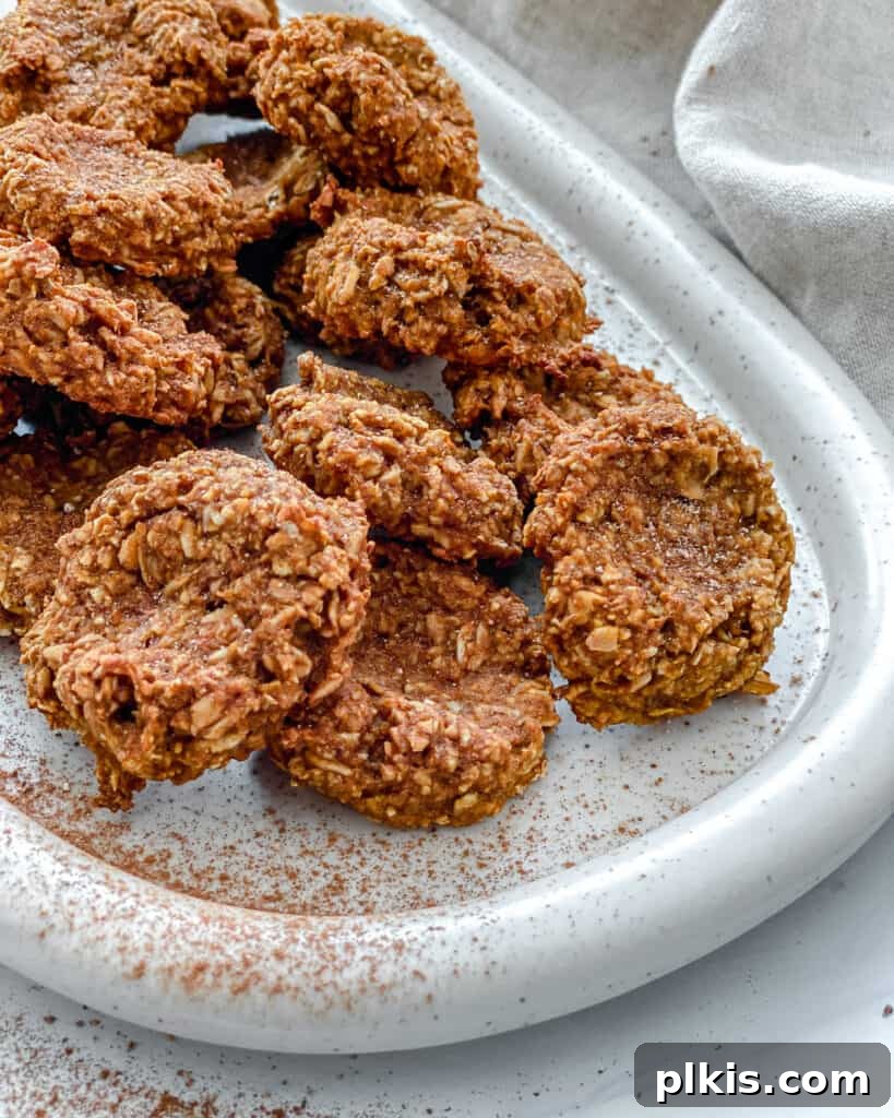 24 Effortless Plant-Based Pumpkin Creations from a Can 29 A collection of perfectly baked pumpkin oatmeal cookies, showcasing their wholesome texture, arranged on a white tray.