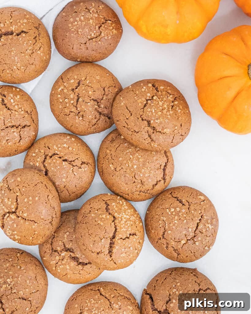24 Effortless Plant-Based Pumpkin Creations from a Can 4 A tempting display of soft pumpkin molasses cookies, with fresh pumpkin visible in the background against a clean white surface.