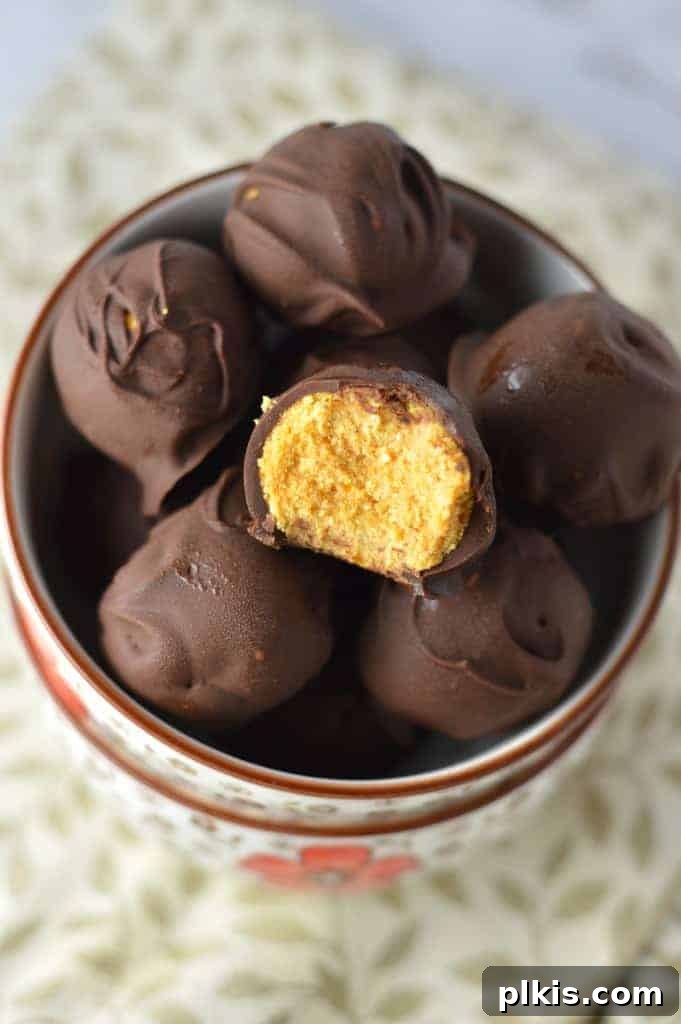 24 Effortless Plant-Based Pumpkin Creations from a Can 33 Delicious vegan coconut flour pumpkin truffles displayed in a bowl, set against a vibrant, colorful background.