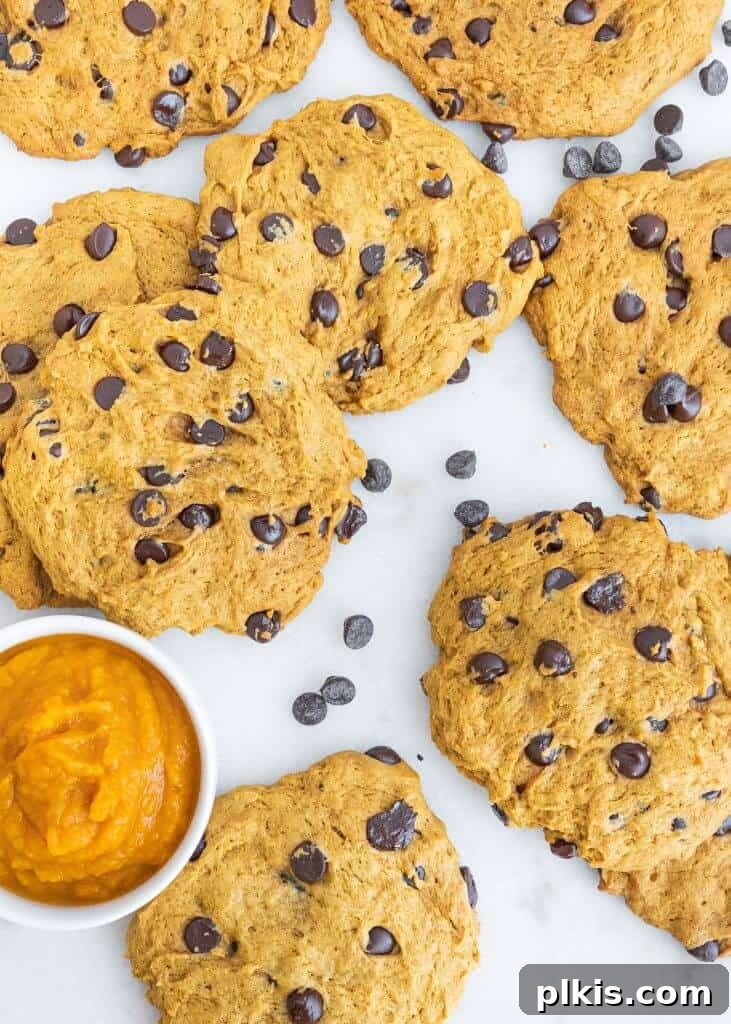 24 Effortless Plant-Based Pumpkin Creations from a Can 10 A scattering of perfectly baked pumpkin chocolate chip cookies on a clean white surface, highlighting their golden-brown edges and visible chocolate chips.