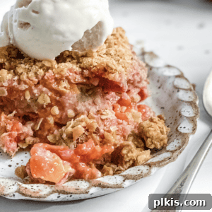 Completed plum crisp on a plate.