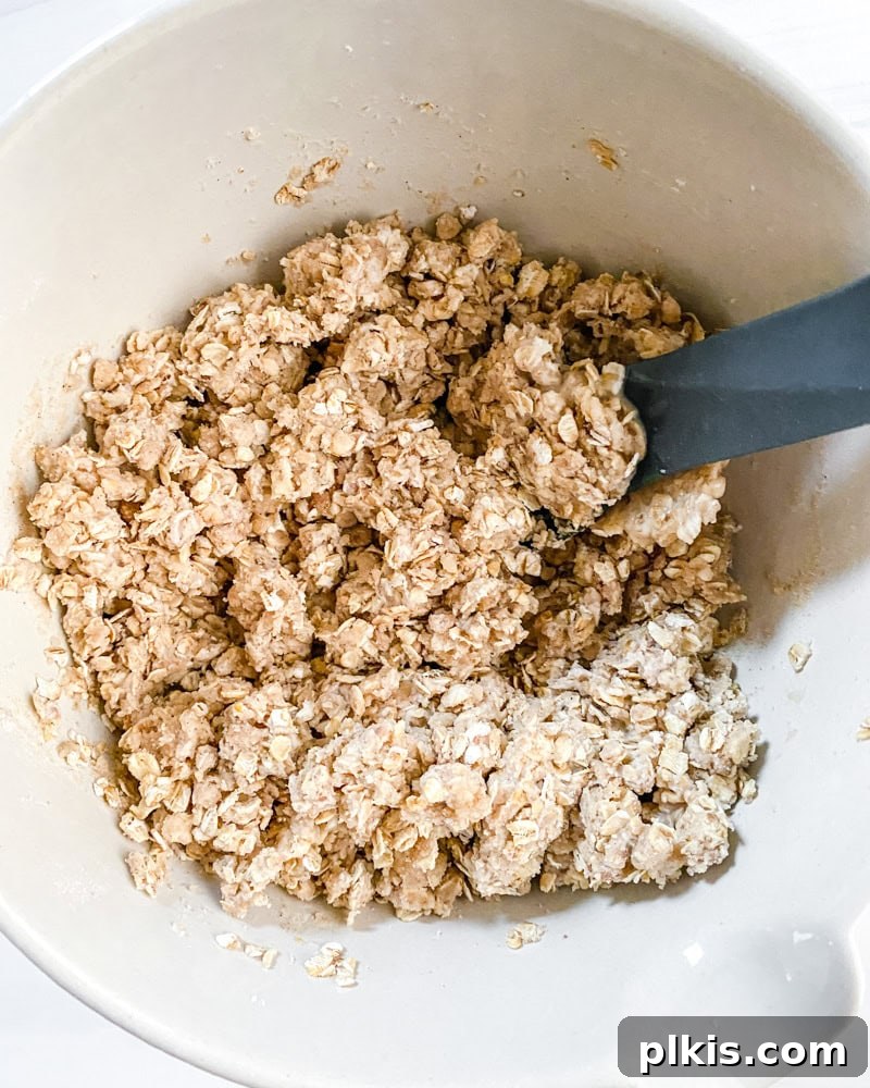 Homestyle Vegan Plum Crisp 5 Process shot showing mixing ingredients in a bowl.