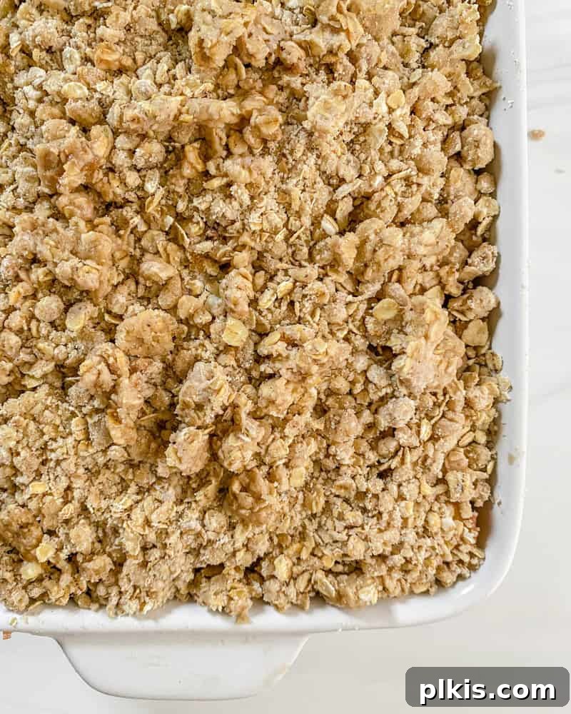 Homestyle Vegan Plum Crisp 6 Process shot showing pre-baked plum crisp in baking pan.