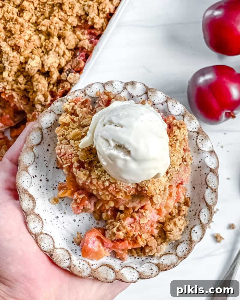 Homestyle Vegan Plum Crisp 7 Completed Vegan Plum Crisp piece on a plate.
