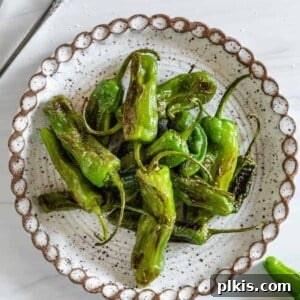 Completed Blistered Shishito Peppers on a plate.