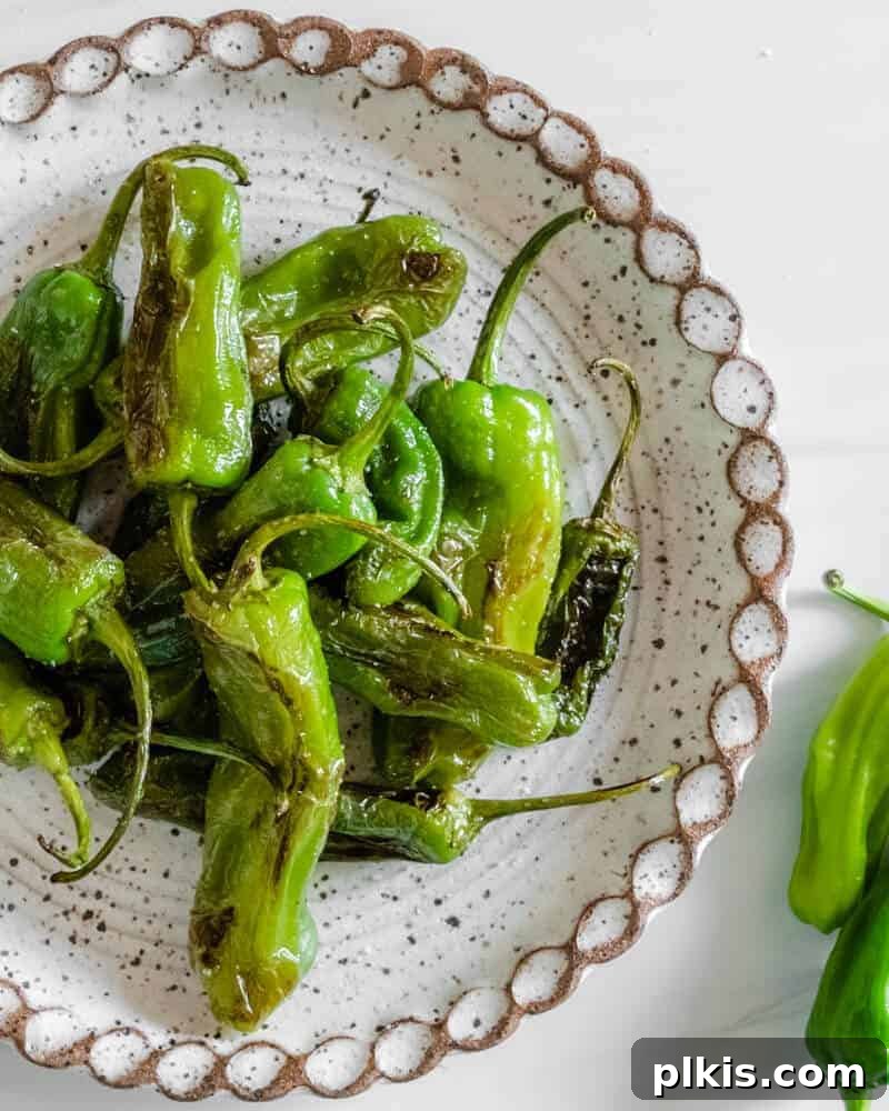Close-up of freshly Blistered Shishito Peppers on a plate, ready to eat.