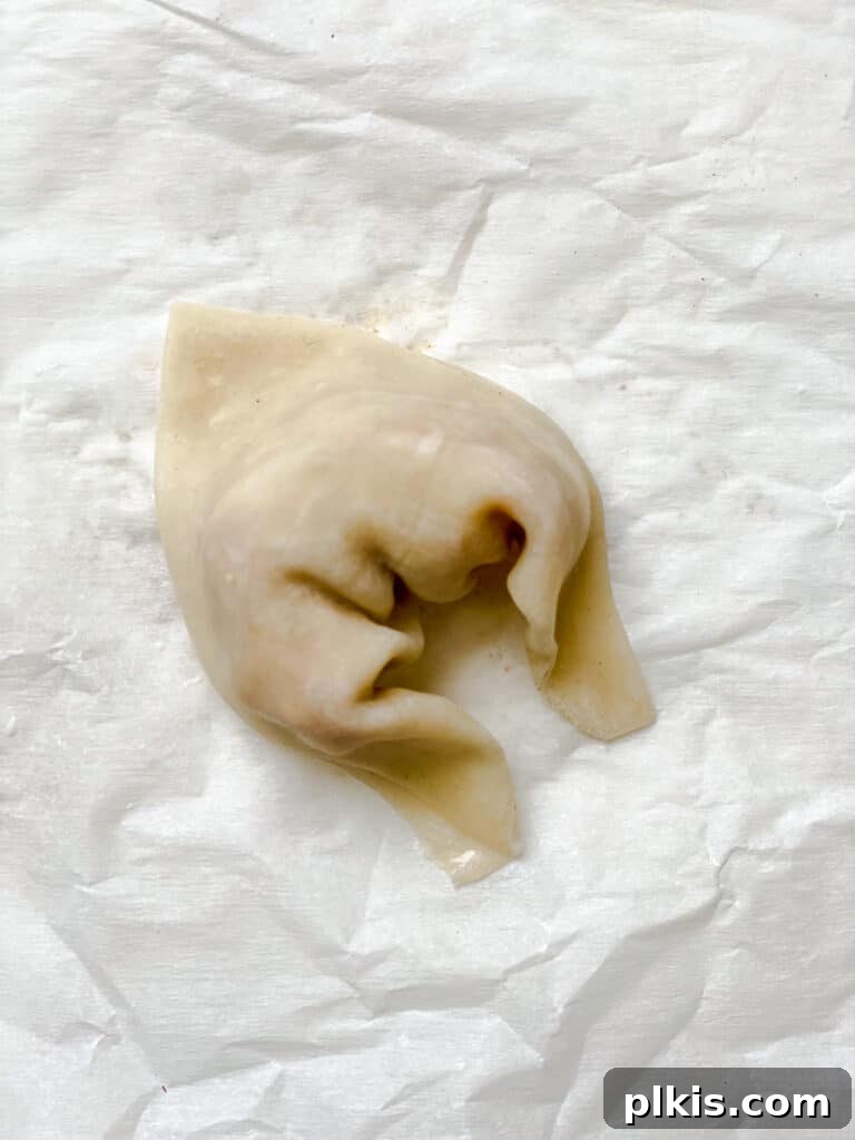 Golden Crispy Tofu Vegetable Wontons Made Two Ways 11 Process shot of a wonton wrapper being folded into a triangle shape and sealed by hand, showcasing proper assembly.
