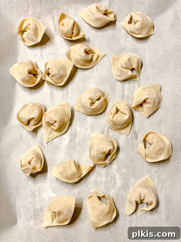 Golden Crispy Tofu Vegetable Wontons Made Two Ways 12 Several neatly folded, pre-fried wontons arranged in rows on a light surface, ready for cooking.