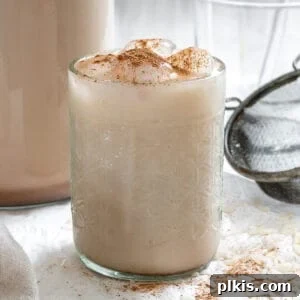 Plant-Based Horchata Delight 11 completed Mexican Horchata Recipe against a white background