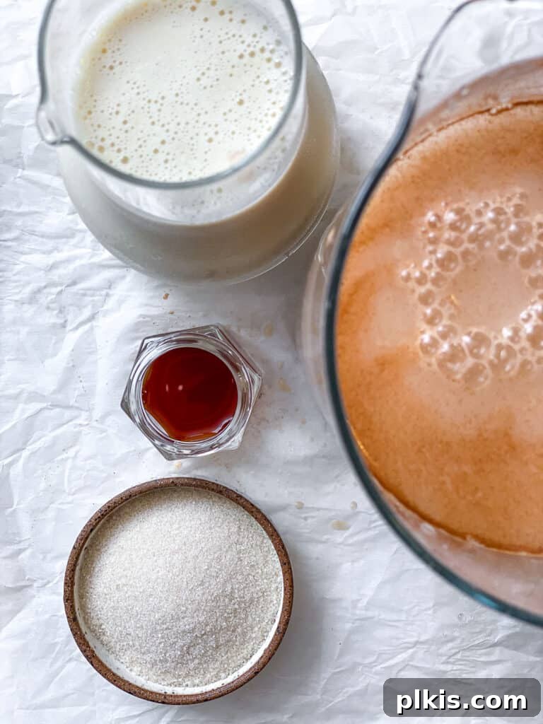 Plant-Based Horchata Delight 7 ingredients for Mexican Horchata Recipe measured out against a white surface