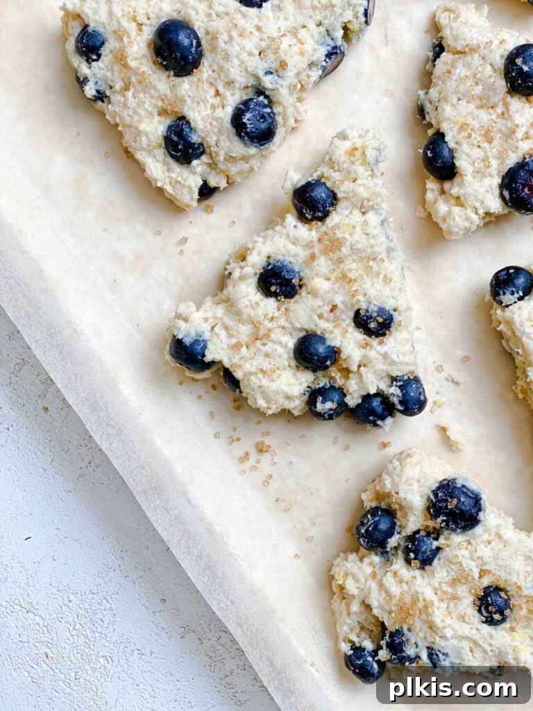 Sunshine Lemon Blueberry Plant-Based Scones 12 Several unbaked vegan lemon blueberry scones, brushed with milk and sprinkled with sugar, arranged on a baking sheet before going into the oven.