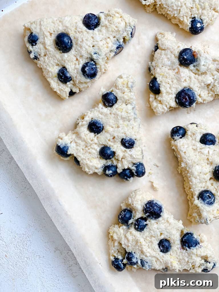 Sunshine Lemon Blueberry Plant-Based Scones 10 Several unbaked vegan lemon blueberry scones arranged on a baking sheet, ready to be brushed and sugared.