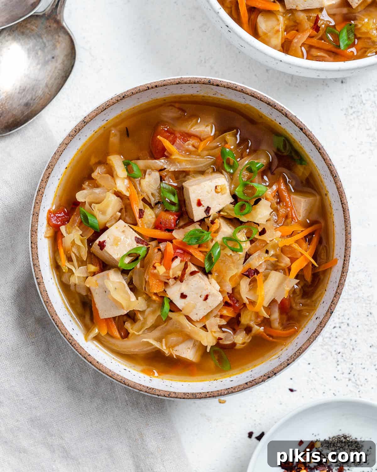 Zesty Plant-Based Hot and Sour Soup 2 completed Easy Vegan Hot and Sour Soup against a white background