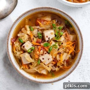 completed Easy Vegan Hot and Sour Soup against a white background