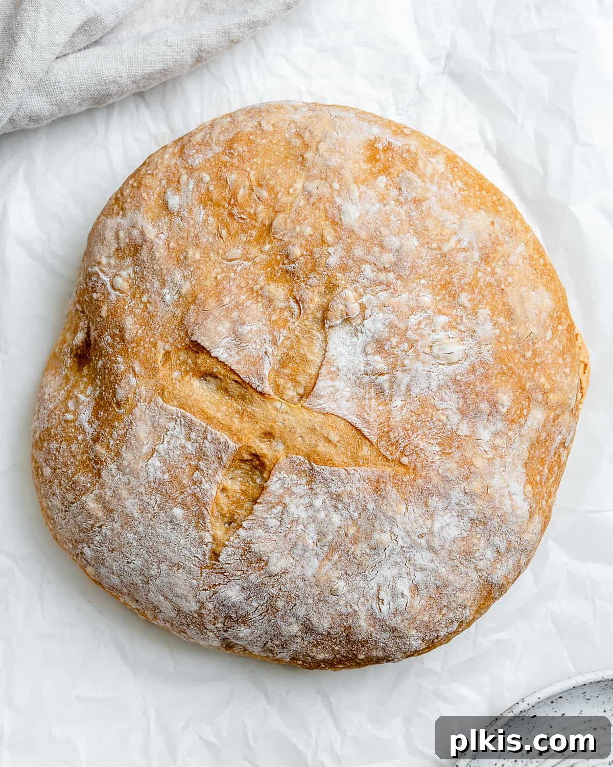 Lazy Baker's Crusty Loaf 15 completed Easiest No Knead Bread on a white surface
