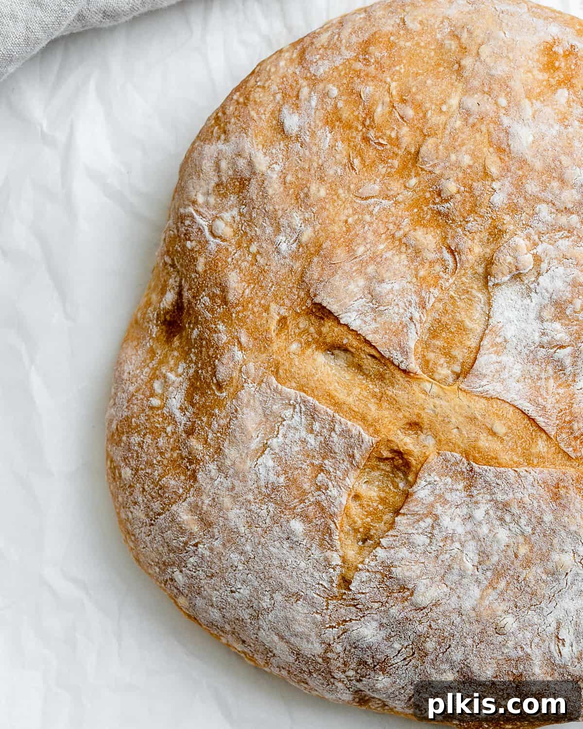 Lazy Baker's Crusty Loaf 16 completed Easiest No Knead Bread on a white surface