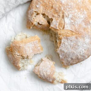 completed Easiest No Knead Bread on a white surface