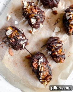 Spiced Pumpkin Date Delights 18 Another view of six pumpkin-stuffed dates, now with chocolate set, showing their readiness for enjoyment.