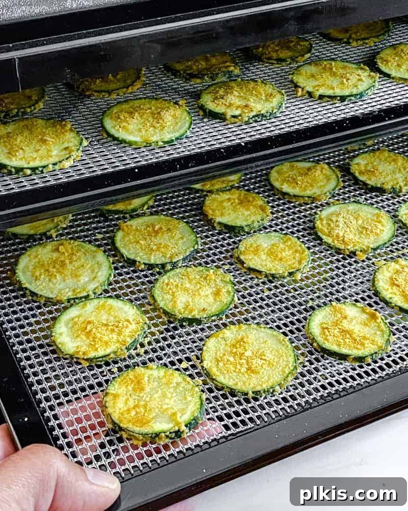 Crispy Vegan Cheesy Zucchini Bites 4 Uncooked cheesy zucchini chips neatly arranged on two layered dehydrator racks, ready for the drying process