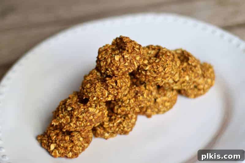 20 Delicious Vegan Autumn Desserts 9 completed pumpkin oat cookies spread out on a white plate