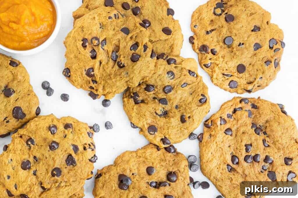 20 Delicious Vegan Autumn Desserts 11 several finished pumpkin chocolate chip cookies on a white background