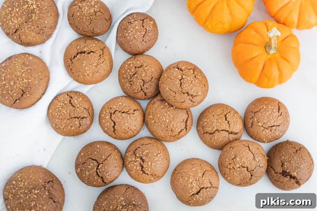 20 Delicious Vegan Autumn Desserts 6 several pumpkin molasses cookies with pumpkin in the background against a white surface